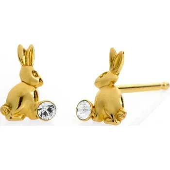 Náušnice Stříbrné zlacené náušnice Victoria Cruz A3476-07DT