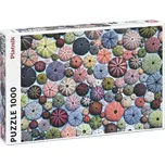 Piatnik Mořští ježci (5488-PI)