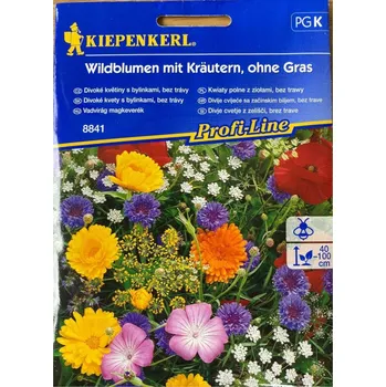 Semeno Květinová směs DIVOKÉ KVĚTINY A BYLINY - Kiepenkerl