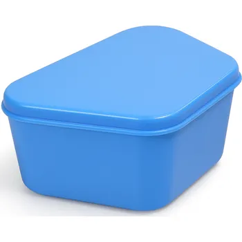 Péče o zubní náhradu Ristea krabička na zubní náhrady, 1ks (různé barvy)