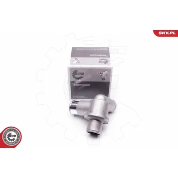 Chladič motoru Termostat, chladivo ESEN SKV 20SKV051