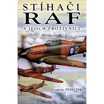 Stíhači RAF a jejich protivníci (Miroslav Šnajdr, 2005)