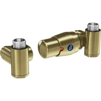 Radiátor INTER-SET, rohový ventil (Z8), Zlatá matná, Pravá