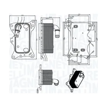 Chladič motoru Olejový chladič, motorový olej MAGNETI MARELLI 350300006300