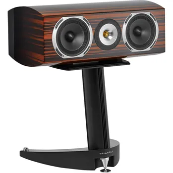 Elektronika Triangle Magellan Voce 40th zebrano