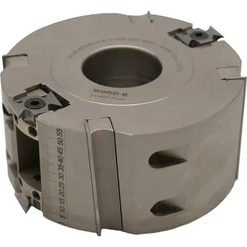 Frézka Fréza zarovnávací stavitelná s VBD 125x60x40 R3 4+2+2z