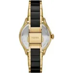 Fossil Hodinky CE1132 Černá OS