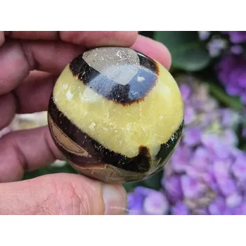 Přírodní kámen Leštěný kámen septárie 99g (Madagaskar)