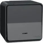 Schneider Electric Mureva MUR35024 černý