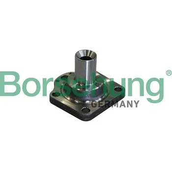 Náboj kola Borsehung B11291