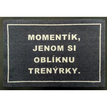 Koberec Trenýrková rohožka 40x60 cm - na ven i na doma, 40x60, šedá, GDmats - 1 rok na vrácení + DOPRAVA ZDARMA k Vám i zpět
