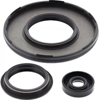 Těsnění motoru Sada gufer motoru WINDEROSA EOSK 55229