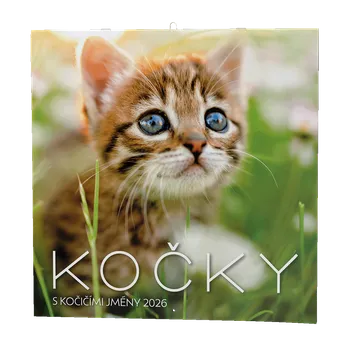 Kalendář Baloušek Tisk Nástěnný kalendář Kočky 2026