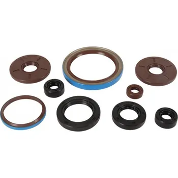 Těsnění motoru Sada gufer motoru WINDEROSA EOSK 822386