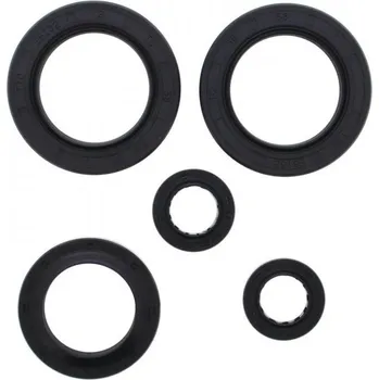 Těsnění motoru Sada gufer motoru WINDEROSA EOSK 822144