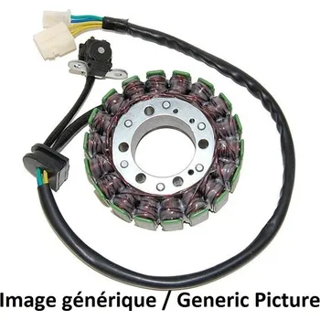 Elektroinstalace pro motocykl Stator ELECTROSPORT - Suzuki GSX-R1000 ESG223