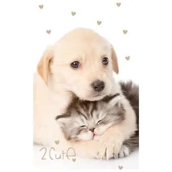 CARBOTEX - Dětský ručník štěně a kotě / 30 x 50 cm