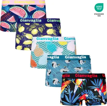 Trenýrky Gianvaglia 5-PACK Dámských nižších boxerek Tropy 8872 Barva/Velikost: mix 5 vzorů viz foto / XL/XXL