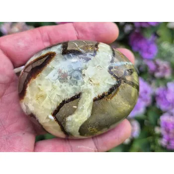 Přírodní kámen Leštěný kámen septárie 248g (Madagaskar)