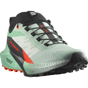 Dámská sportovní obuv Salomon Sense Ride 5 W L47698300 - bay/black/cherry tomato 39 1/3