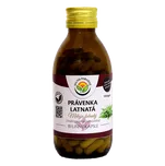 Právenka latnatá 120 kapslí Salvia Paradise