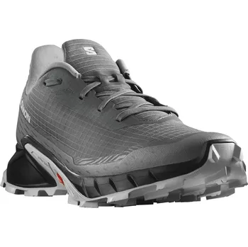 Pánská obuv Salomon Alphacross 5 M L47313300 - pewter black/ghost gray 44