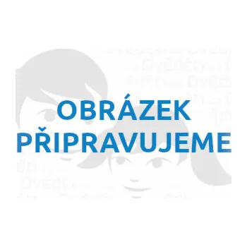 Dřevěná hračka Le Toy Van Plátěná nákupní taška Le Toy Van