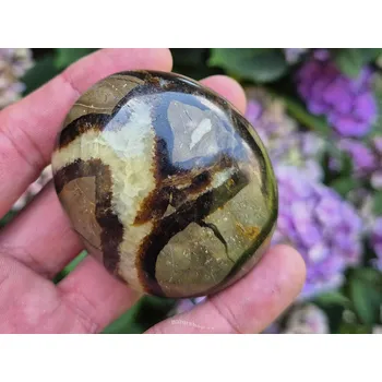 Přírodní kámen Leštěný kámen septárie 163g (Madagaskar)