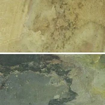 Magicrete Ohebný kámen EARL GREY (122x61 cm)