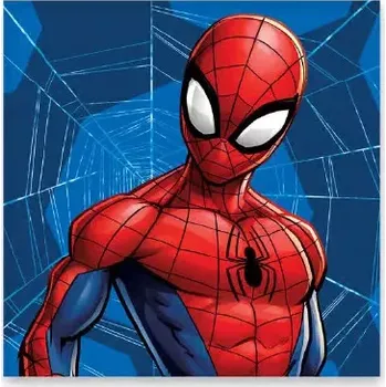Ručník Spiderman 30x30