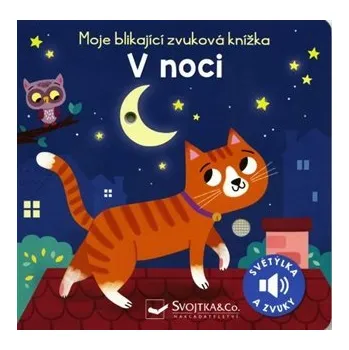 Leporelo Moje blikající zvuková knížka - V noci - Maria Höck