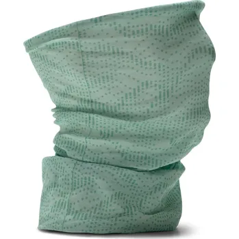 Nákrčník Nákrčník Salewa Icono Headband Pastel Green/Meadow