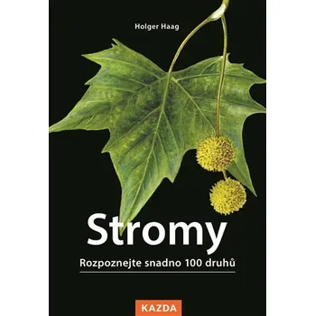 Stromy - Holger Haag