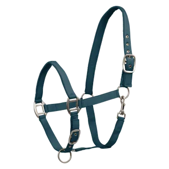 Ohlávka Perlon Satin Waldhausen Barva: Petrol blue, Velikost: COB