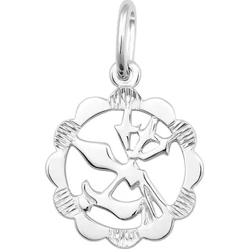 Přívěsek Stříbrný přívěs zvěrokruh Vodnář - kytička