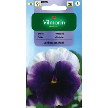 Semeno MACEŠKA ZAHRADNÍ - LORD BEACONSFIELD / Viola x wittrockiana GAMS.