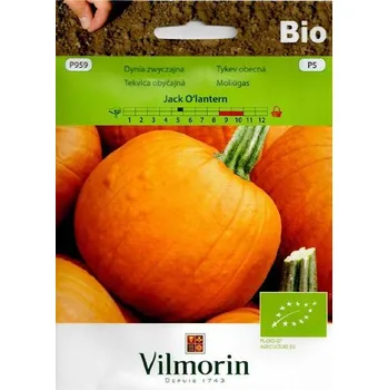 Semeno TYKEV PLAZIVÁ - JACK O'LANTERN BIO / Cucurbita pepo L.