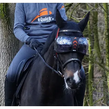 ochranné brýle Ochrana očí, brýle pro koně Equick eVysor - čiré