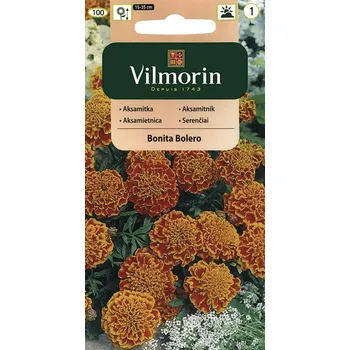 Semeno AKSAMITNÍK ROZLOŽITÝ - BONITA BOLERO / Tagetes patula L.