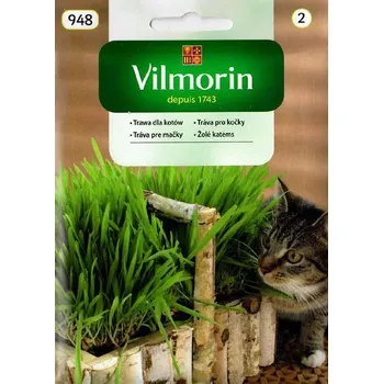 Semeno TRÁVA PRO KOČKY - TYMOTKA LAKOWA RAGNAR / Phleum pratense L.