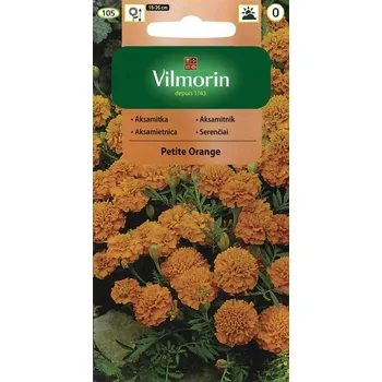Semeno AKSAMITNÍK ROZKLADITÝ PLNOKVĚTÝ - PETITE ORANGE / Tagetes patula nana