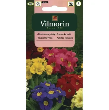 Semeno PRVOSENKA VYŠŠÍ - SMĚS / Primula elatior grandiflora