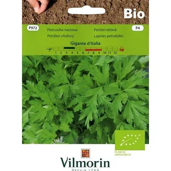 Semeno PETRŽEL ZAHRADNÍ - NAŤOVÁ GIGANTE D'ITALIA BIO / Petroselinum crispum (Miller) convar. radicosum (Alef.) Danert
