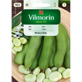 Semeno BOB ZAHRADNÍ - WINDSOR BIALY / Vicia faba L.