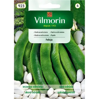 Semeno FAZOL KEŘÍČKOVÝ VELKOZRNNÝ - FELICJA - NA SUCHÁ SEMENA / Phaseolus vulgaris L.