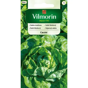 Semeno SALÁT HLÁVKOVÝ - CASSINI celoroční / Lactuca sativa L.