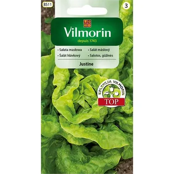 Semeno SALÁT HLÁVKOVÝ - JUSTINE - letní / Lactuca sativa L.