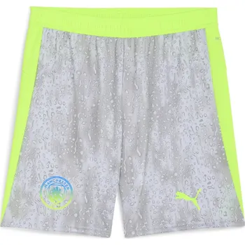 Pánské kraťasy Puma Grey 1165136 XL