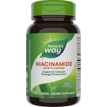 Fitness strava Nature's Way Niacinamide 100 kapslí