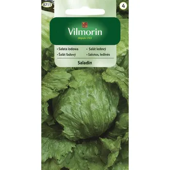 Semeno SALÁT LETNÍ LEDOVÝ - SALADIN F1 / Lactuca sativa L.